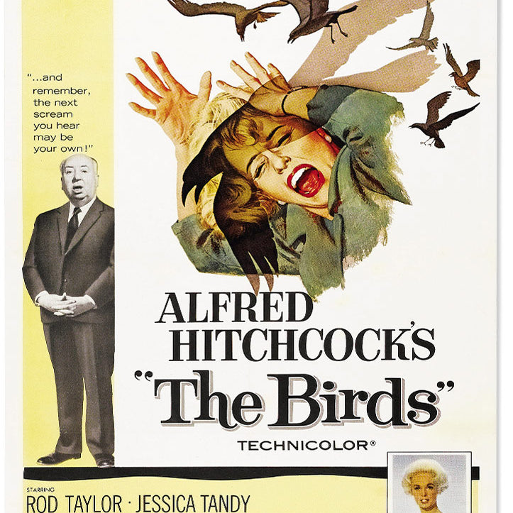 The Birds by Alfred Hitchcock Movie Poster