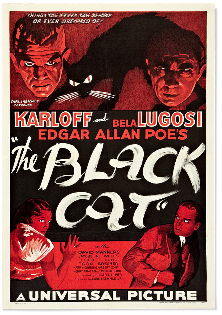 The Black Cat Vintage Style Horror Movie Poster – Posterist