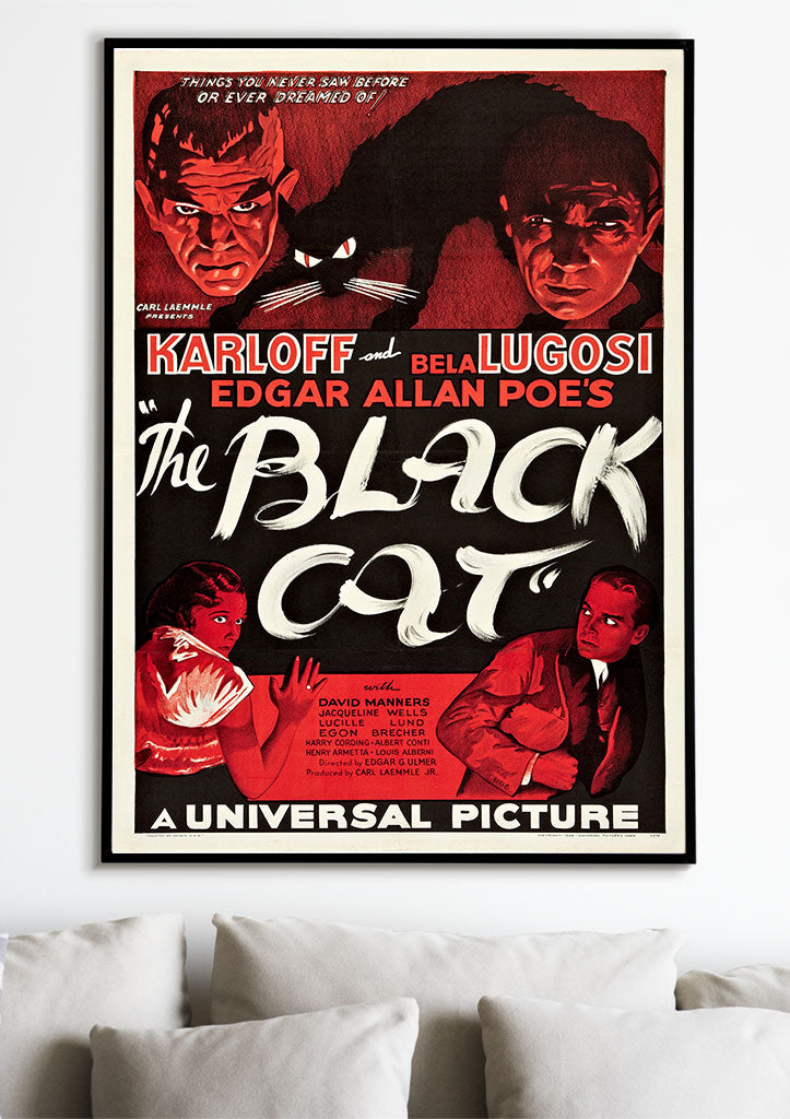 The Black Cat Movie Poster